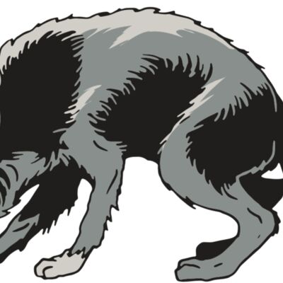 AR32 COYOTE 05 RQC Thumbnail