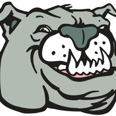 AR BDOG 44 RC Thumbnail