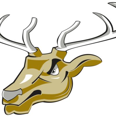 ELK HD0503 RQC Thumbnail