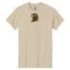Heavy Cotton ™ 100% Cotton T Shirt Thumbnail