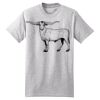 Beefy T ® 100% Cotton T Shirt Thumbnail