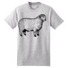 Beefy T ® 100% Cotton T Shirt Thumbnail