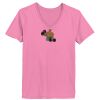 Ladies ComfortSoft ® V Neck Tee Thumbnail