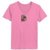 Ladies ComfortSoft ® V Neck Tee Thumbnail