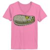 Ladies ComfortSoft ® V Neck Tee Thumbnail