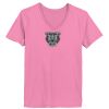 Ladies ComfortSoft ® V Neck Tee Thumbnail